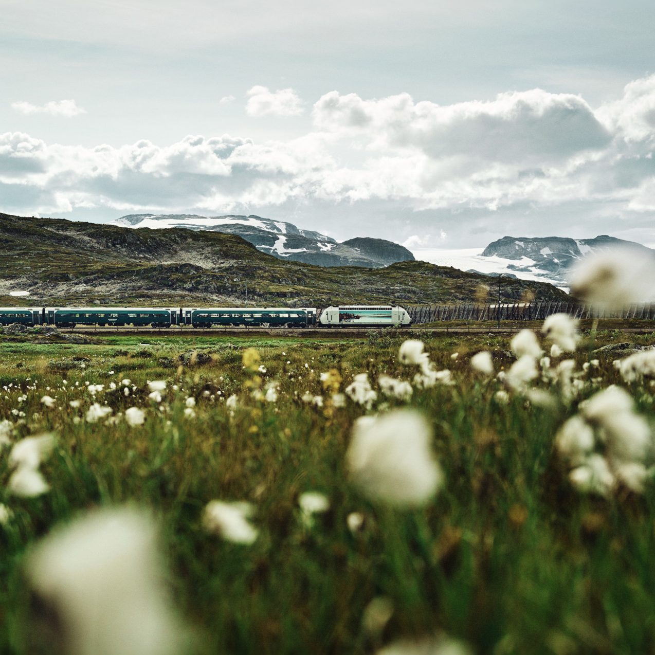 Foto Øivind Haug