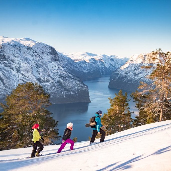 FJORDNORGE-FJORDSAFARI-28517-25556600-Foto_Sverre_Hjornevik_opt
