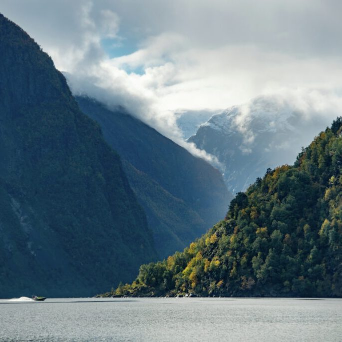 Foto Sverre Hjørnevik