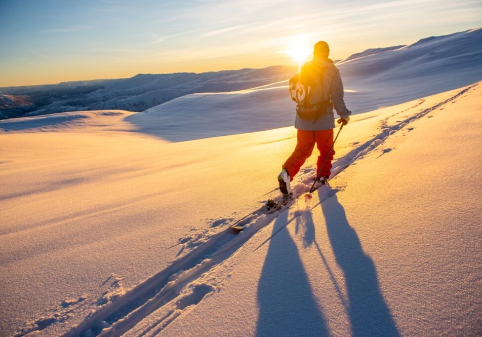 MYRKDALEN-FREERIDE-SKITOUR-DOG-SVERREHJORNEVIK-4962-11527359-Foto_Sverre_Hjornevik_opt