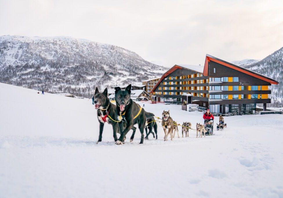 MYRKDALEN-HUSKIE-DOGSSLEDING-SVERREHJORNEVIK-01878-11527590-Foto_Sverre_Hjornevik_opt
