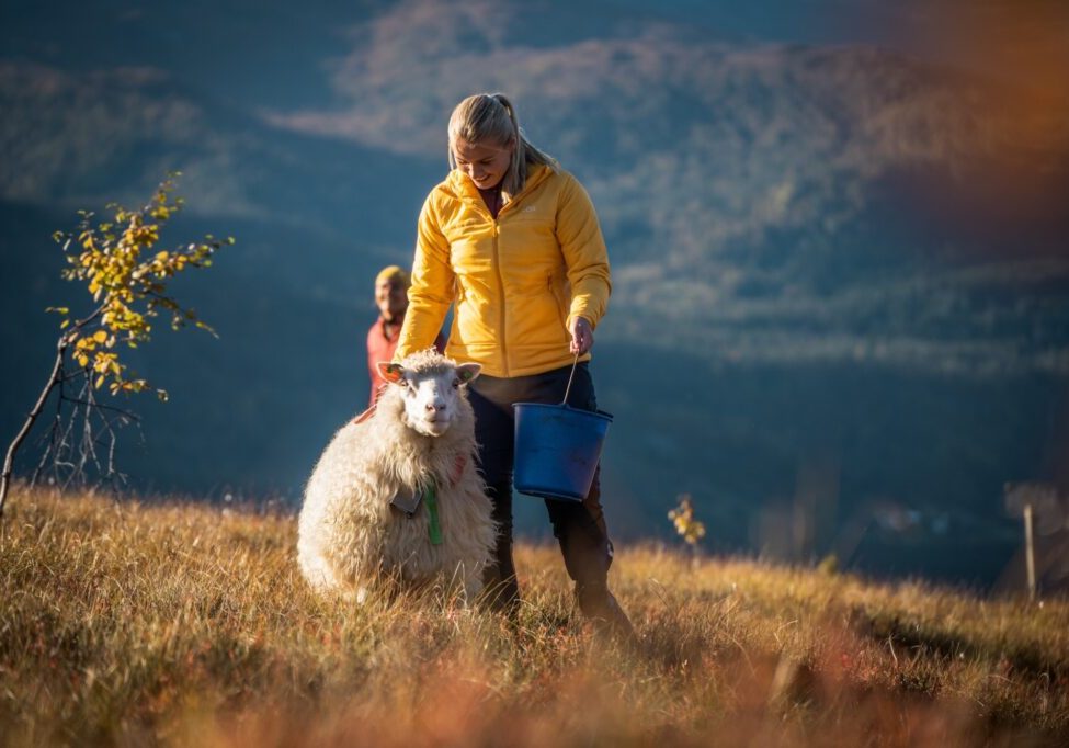 Photo_Jon_Hunna_opt_3 copy