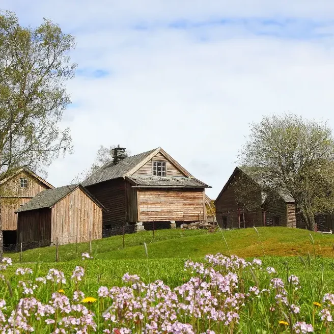 Screenshot 2024-06-12 at 00.03.51